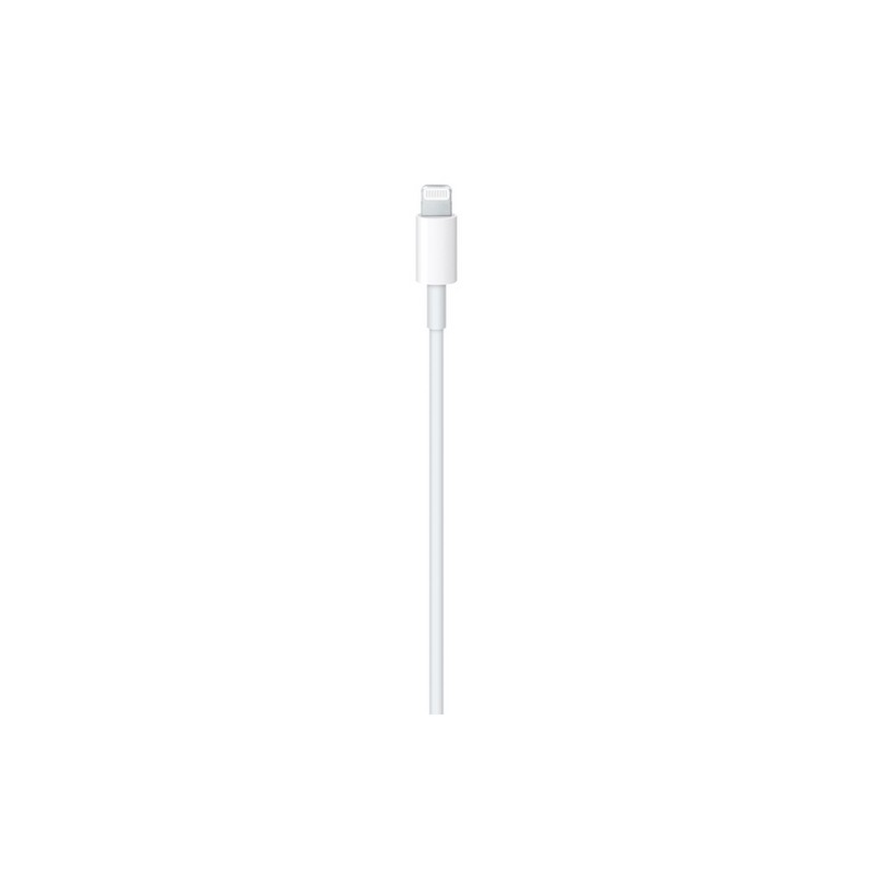 APPLE CAVO APPLE LIGHTNING USB-C