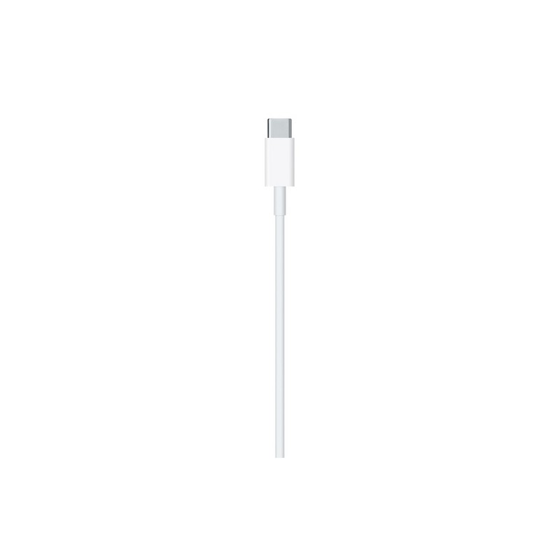 APPLE CAVO APPLE LIGHTNING USB-C