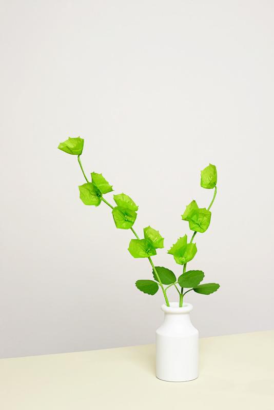 Lafeltrinelli 100 Semplici Fiori Di Carta. Ediz. A Colori