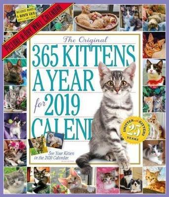 Lafeltrinelli 2019 365 Kittens a Year Picture-A-Day Wall Calendar