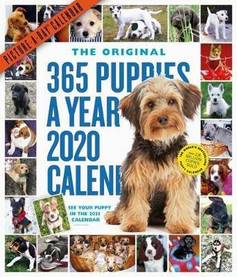Lafeltrinelli 2020 365 Puppies-A-Year Picture-A-Day Calendar