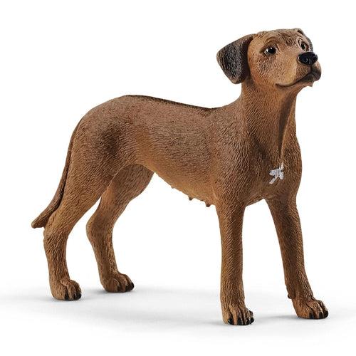 Lafeltrinelli Cane Rhodesian Ridgeback Schleich (13895)