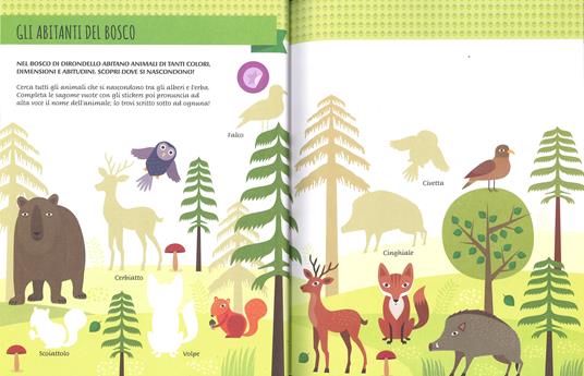 Lafeltrinelli Il Mio Primo Libro Degli Animali Del Bosco. 3-4 Anni. Montessori: Un Mondo Di Conquiste. Con Adesivi. Ediz. A Colori
