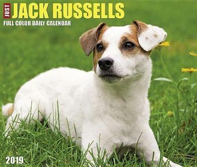 Lafeltrinelli Just Jack Russells 2019 Box Calendar (Dog Breed Calendar)