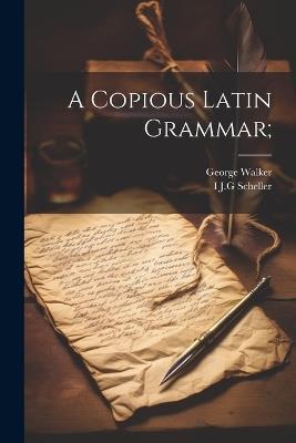 Lafeltrinelli A Copious Latin Grammar;
