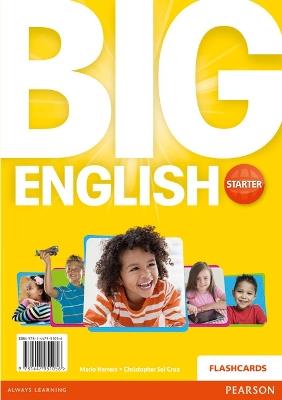 Lafeltrinelli Big English Starter Flashcards