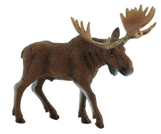 Lafeltrinelli Bosco. Moose