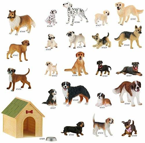 Lafeltrinelli Cani. Bernese Mountain Dog Bianca