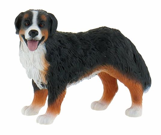 Lafeltrinelli Cani. Bernese Mountain Dog Bianca