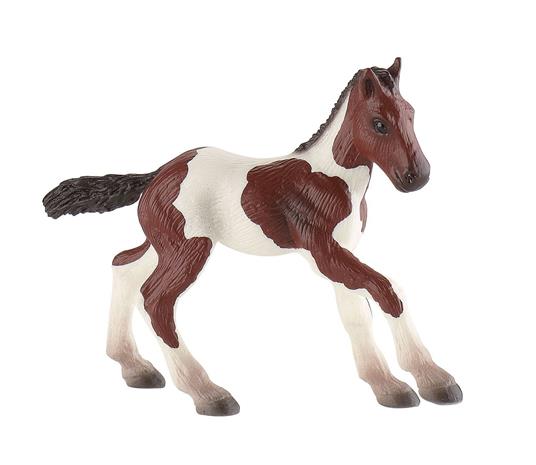 Lafeltrinelli Cavalli. Paint Horse Foal