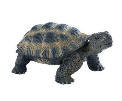 Lafeltrinelli Collezione Animali Figures. Tartaruga