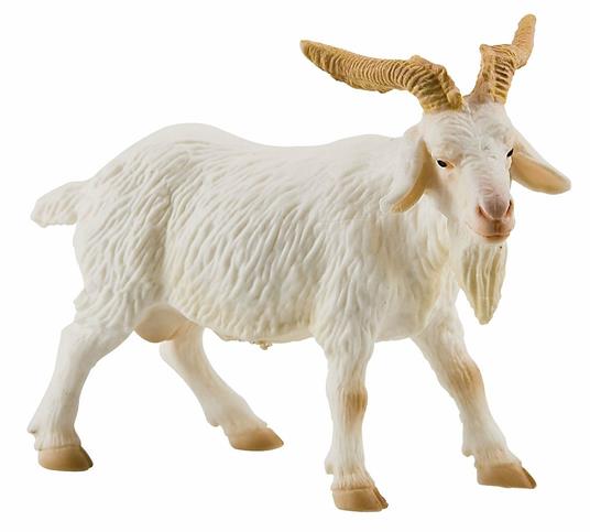 Lafeltrinelli Fattoria. Billy Goat