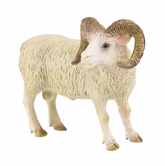Lafeltrinelli Fattoria. Ram