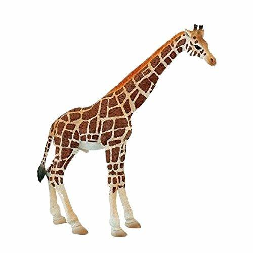 Lafeltrinelli Giraffe Male