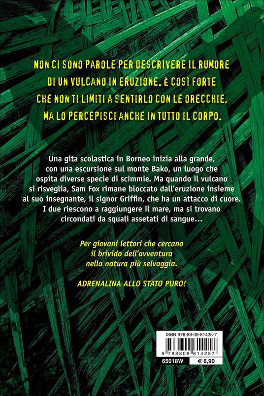 Lafeltrinelli La Montagna Delle Scimmie