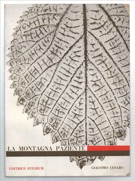 Lafeltrinelli La Montagna Paziente