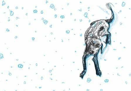 Lafeltrinelli River. Il Cane Nero. Ediz. Illustrata