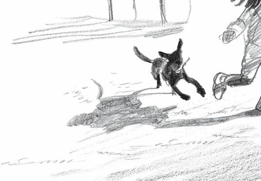 Lafeltrinelli River. Il Cane Nero. Ediz. Illustrata