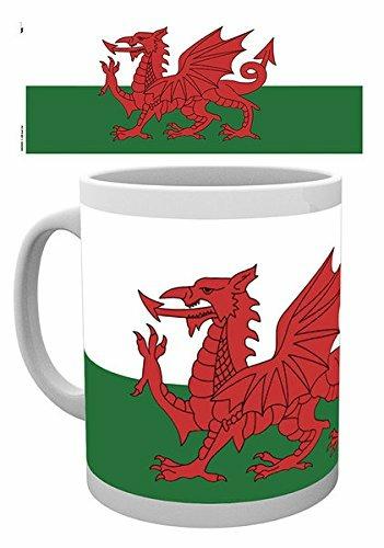 Lafeltrinelli Tazza Wales. Flag
