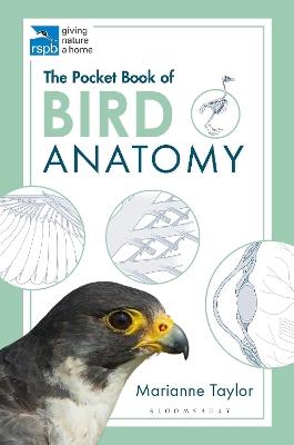 Lafeltrinelli The Pocket Book of Bird Anatomy