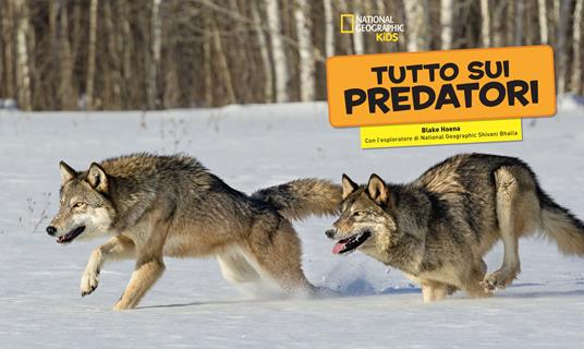 Lafeltrinelli Tutto Sui Predatori. Ediz. Illustrata