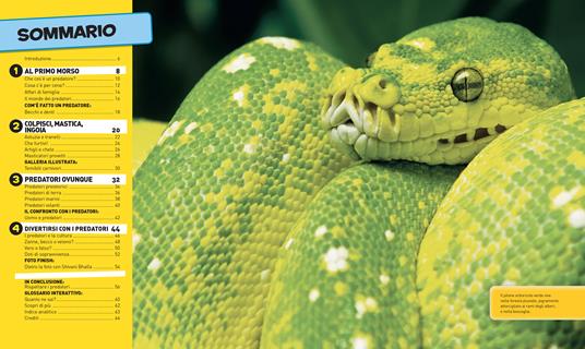 Lafeltrinelli Tutto Sui Predatori. Ediz. Illustrata