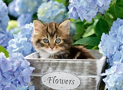 Lafeltrinelli Ravensburger - Puzzle Piccolo Gattino 300 Pezzi XXL Età Raccomandata 9+ Anni