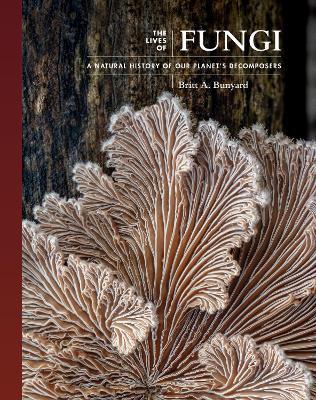 Lafeltrinelli The Lives Of Fungi: A Natural History Of Our Planet's Decomposers