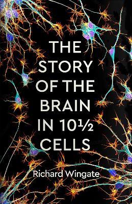 Lafeltrinelli The Story of the Brain in 101/2 Cells