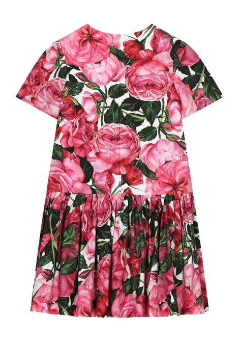 DOLCE & GABBANA KIDS Abito Con Stampa Di Rose Su Sfondo Bianco - DOLCE & GABBANA KIDS