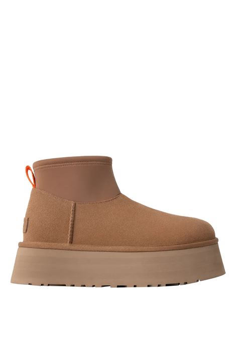 UGG Stivali Classic Mini Dipper chestnut - UGG