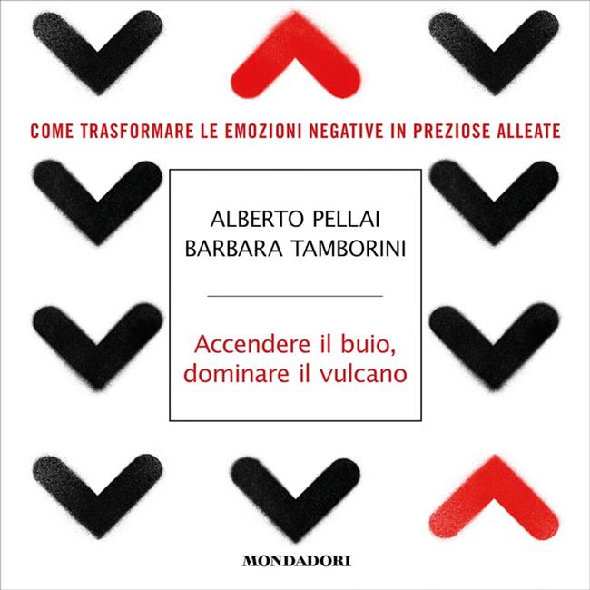 Libraccio Accendere il buio dominare il vulcano (audiolibro)