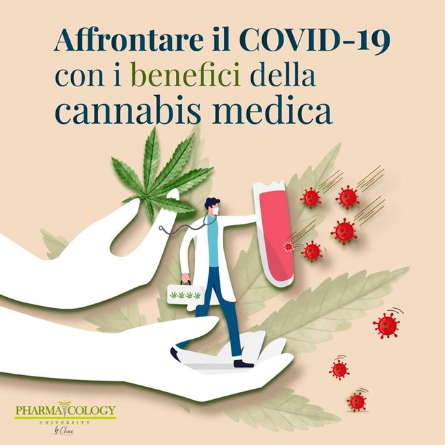 Libraccio Affrontare il COVID-19 con i benefici della cannabis medica (audiolibro)