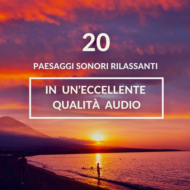 Libraccio ambiente rilassante per il sonno meditazione sonno profondo: 20 paesaggi sonori rilassanti in un'eccellente qualità audio (audiolibro)