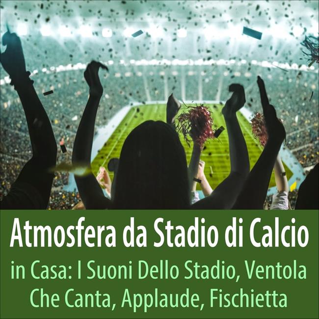 Libraccio Atmosfera da stadio di calcio in casa: I suoni dello stadio ventola che canta applaude fischietta (audiolibro)
