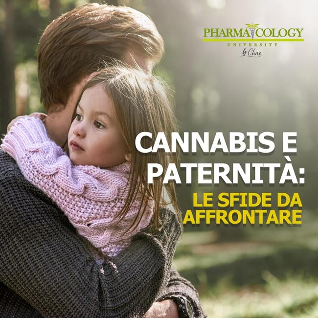 Libraccio Cannabis e paternità: le sfide da affrontare (audiolibro)