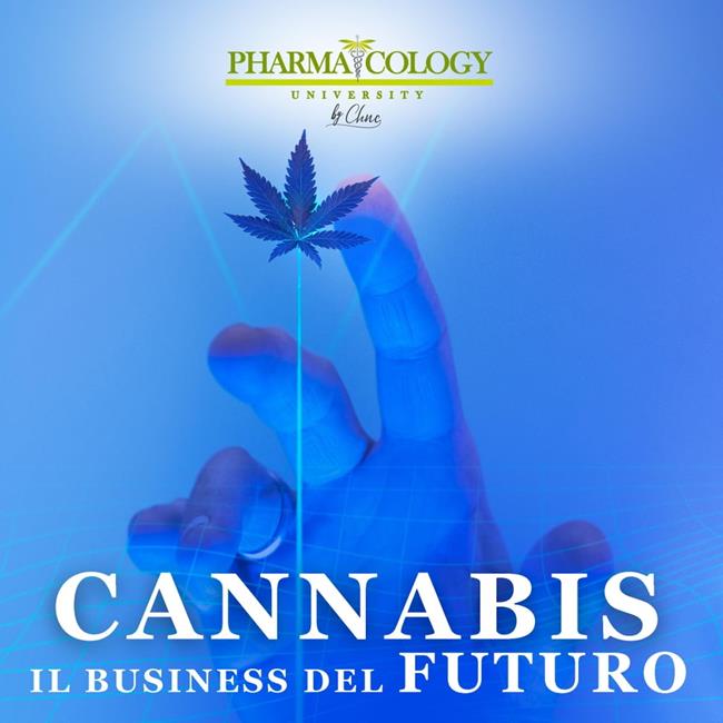 Libraccio Cannabis il business del futuro (audiolibro)