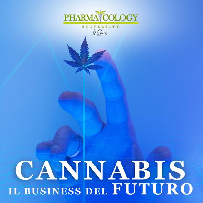 Libraccio Cannabis il business del futuro (audiolibro)