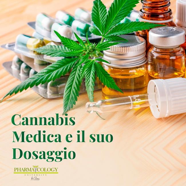 Libraccio Cannabis medica e il suo dosaggio (audiolibro)