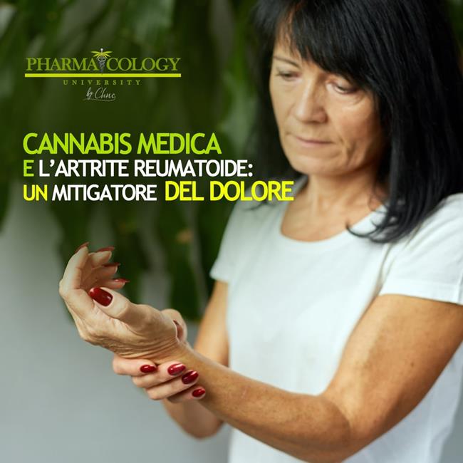 Libraccio Cannabis medica e l’artrite reumatoide: un mitigatore del dolore (audiolibro)