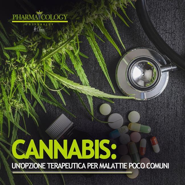Libraccio Cannabis: un'opzione terapeutica per malattie poco comuni (audiolibro)