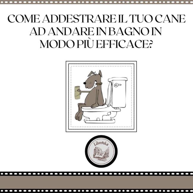 Libraccio Come addestrare il tuo cane ad andare in bagno in modo più efficace? (audiolibro)