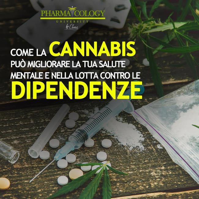 Libraccio Come la cannabis può migliorare la tua salute mentale e nella lotta contro le dipendenze (audiolibro)