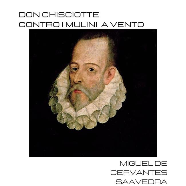 Libraccio Don Chisciotte contro i mulini a vento (audiolibro)