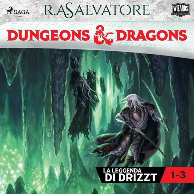 Libraccio Dungeons & Dragons: Trilogia degli elfi scuri (audiolibro)