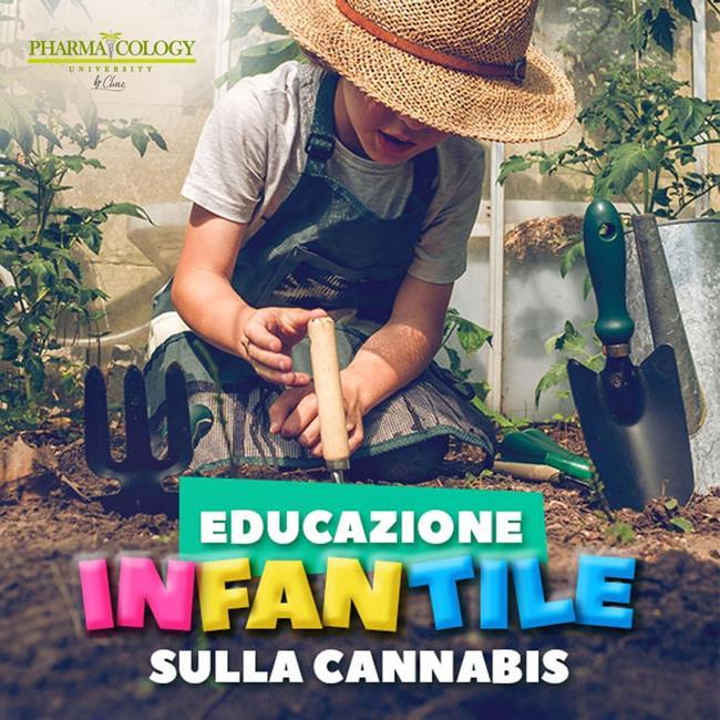 Libraccio Educazione infantile sulla cannabis (audiolibro)
