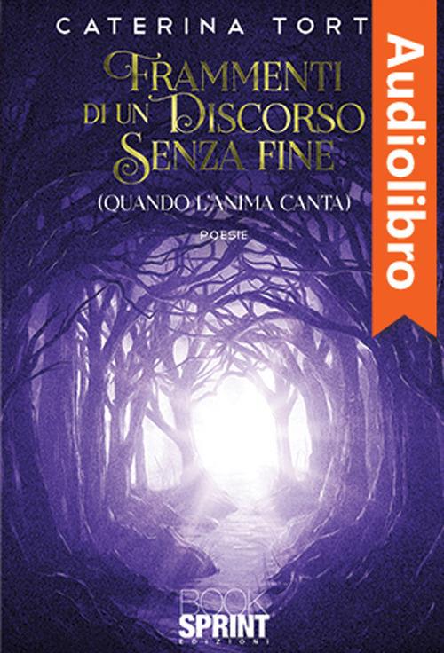 Libraccio Frammenti di un discorso senza fine (audiolibro)