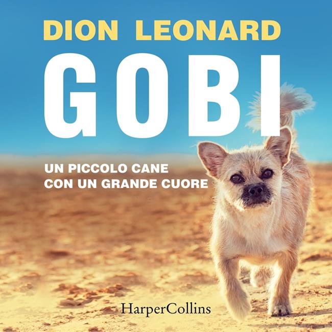 Libraccio Gobi. Un piccolo cane con un grande cuore (audiolibro)