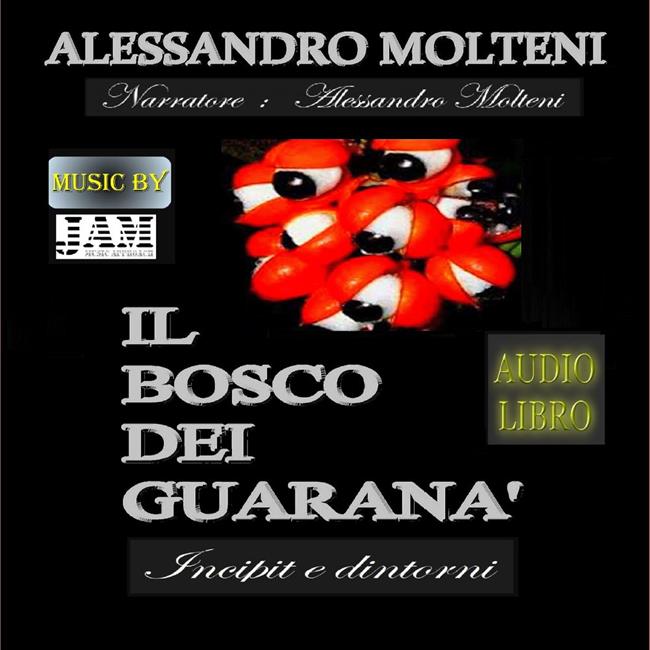 Libraccio Il Bosco dei Guaranà - Incipit e dintorni (audiolibro)