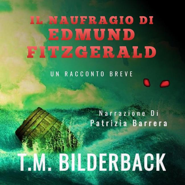 Libraccio Il Naufragio Di Edmund Fitzgerald - Un Racconto Breve (audiolibro)